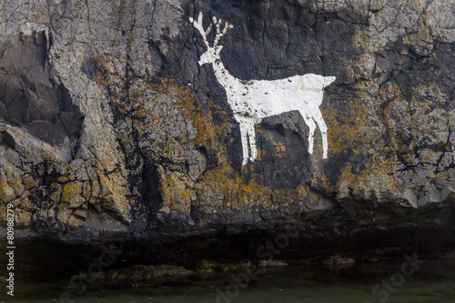 Painted White Stag on rocks. Bamburgh, Northumberland, England.