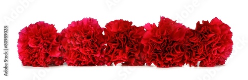 Border arrangement of red carnation flowers © Jenifoto