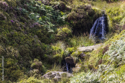  Bronte Falls, Bronte Country, West Yorkshire, England.

