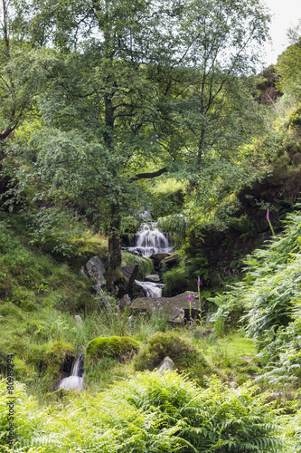 Bronte Falls. Wuthering Heights. West Yorkshire.