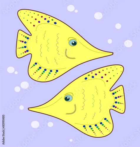 two angelfishes