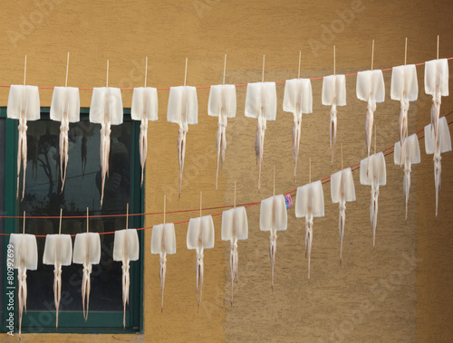 Squid drying on clothesline photo