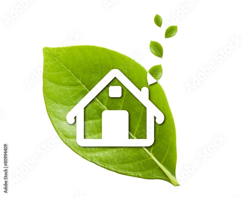 Home in leaf
