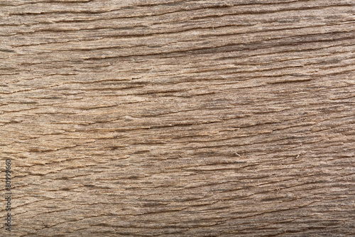 Wallpaper Mural Scratched wood (bog oak) texture. Dramatic light and shadows. Torontodigital.ca