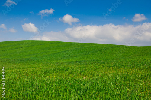 Paesaggio rurale tipico della Val d'Orcia - Toscana © Buffy1982