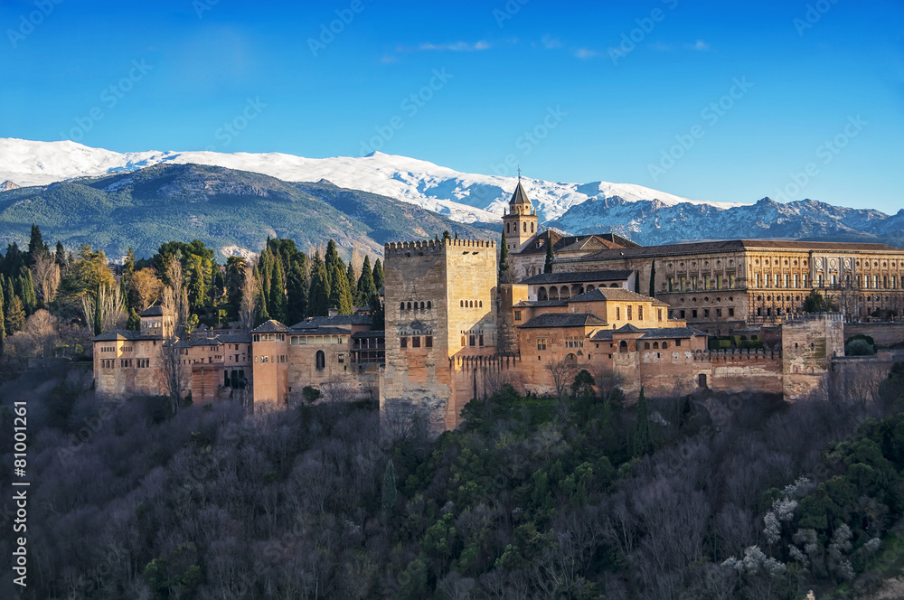 Aerial view of Alhambra Palace in Granada