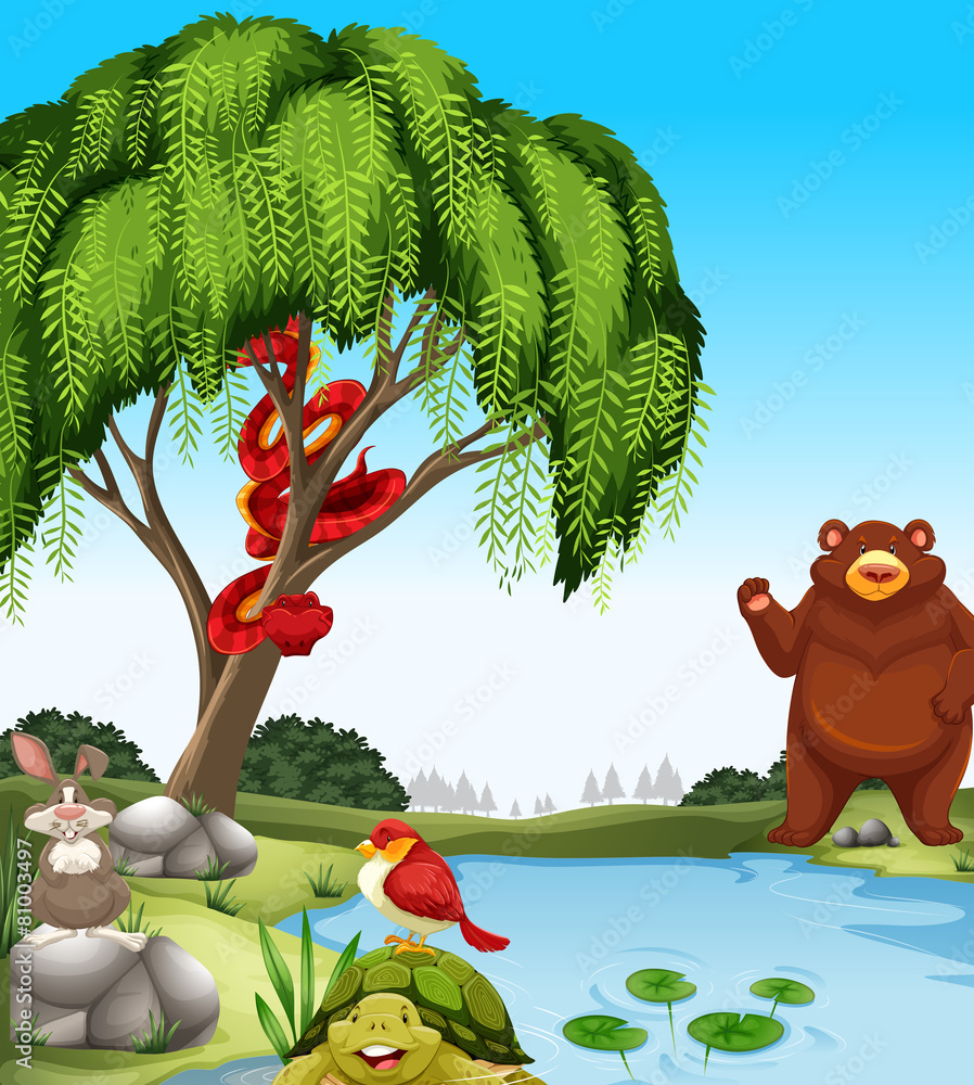 Obraz premium Animals