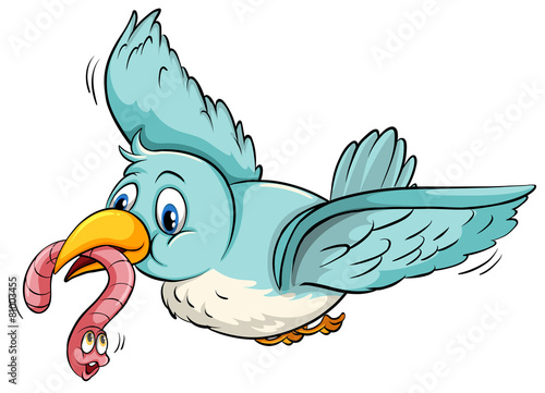 Flying bird