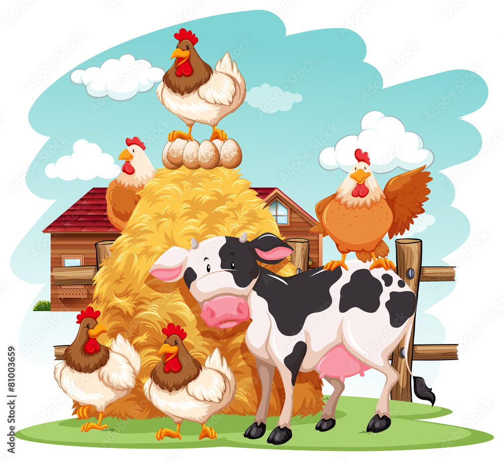 Animals Animals