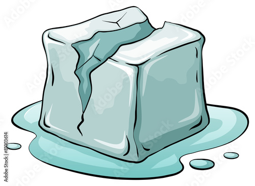 Ice cube