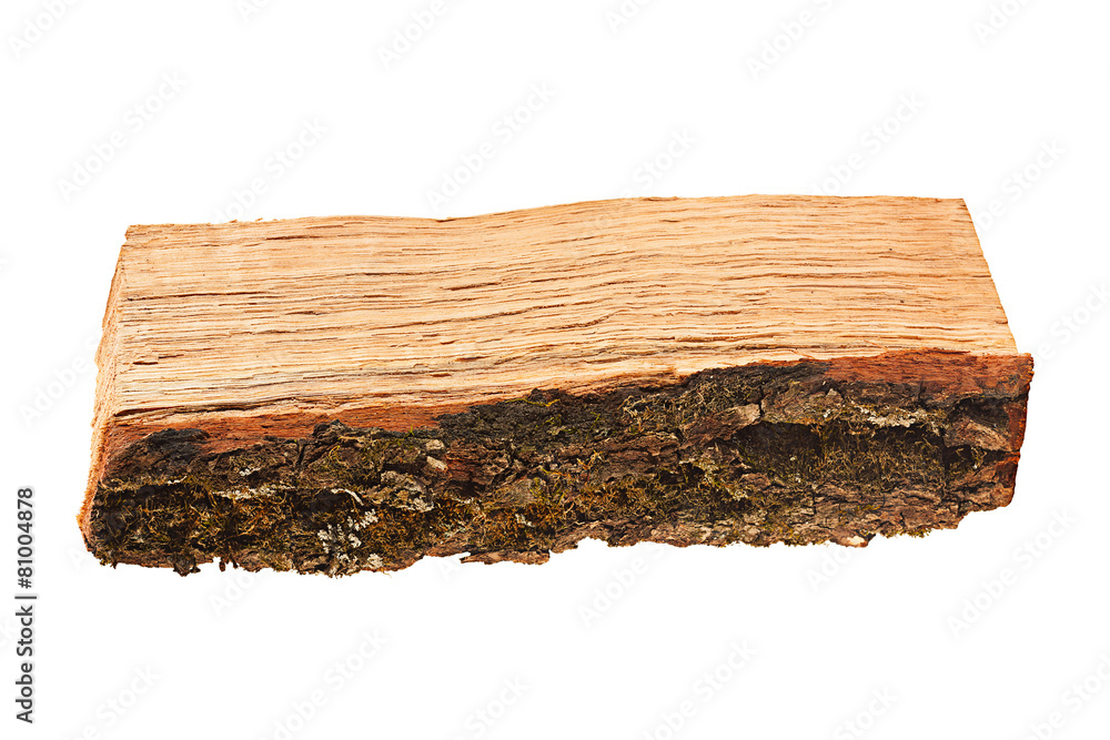 Fototapeta premium Oak firewood piece