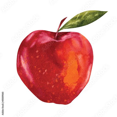 watercolor apple