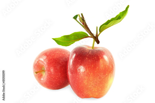 fresh apple fruit with leaves in pure white background