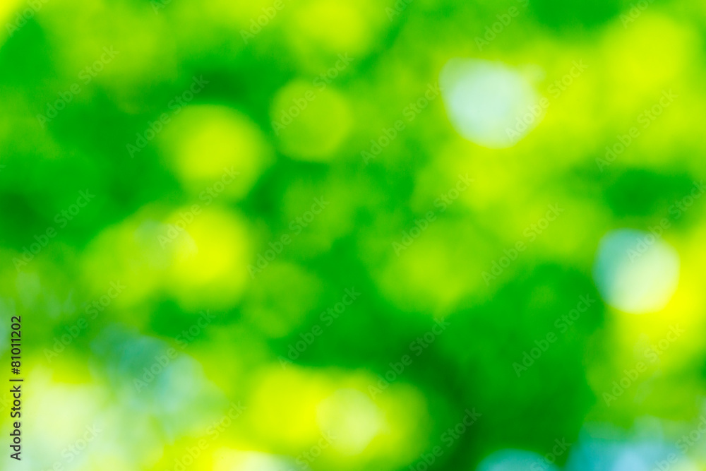 Fototapeta premium natural green background