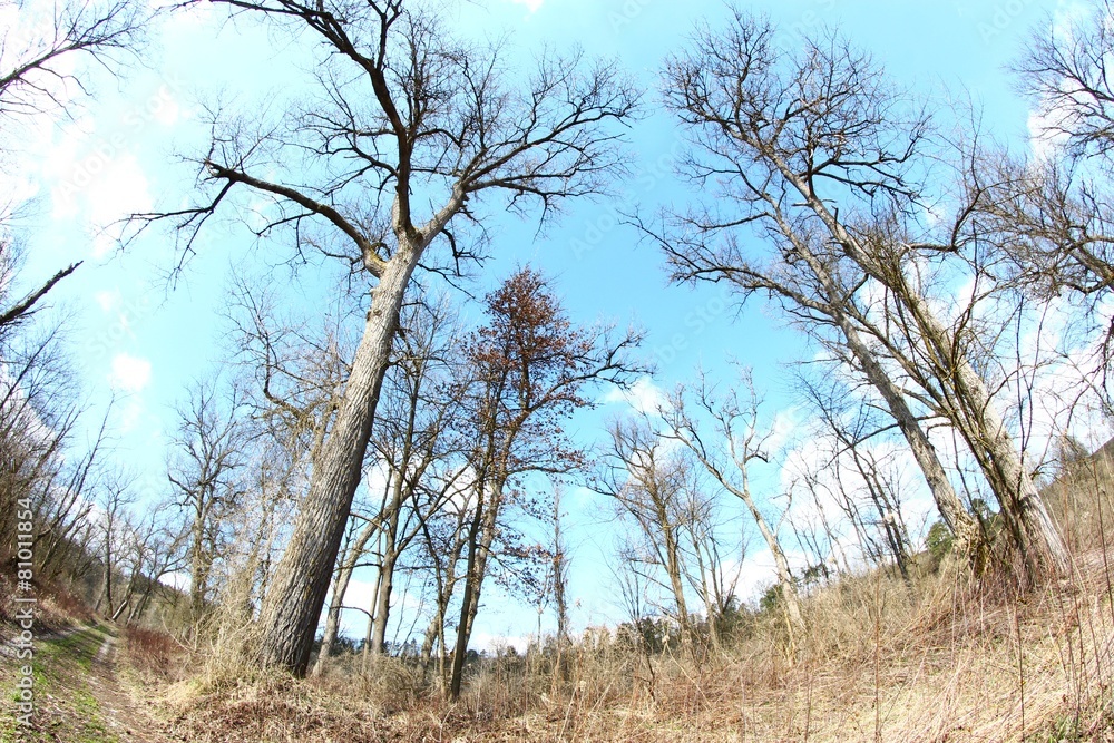 kahler wald II kahler wald II