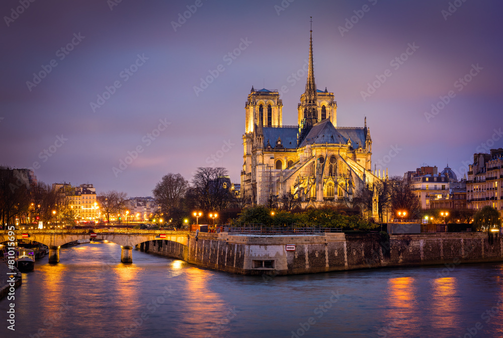 Cathedral of Notre Dame, Ile de La Cite, Paris, France