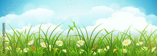 Summer meadow landscape with green grass, flowers and blue sky