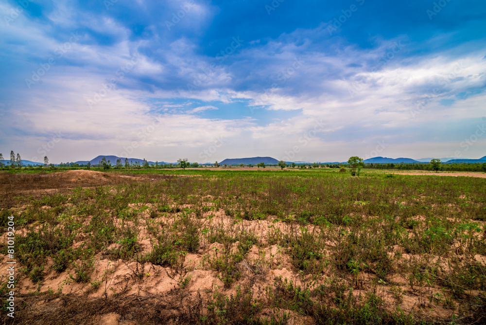 Obraz premium Landscape