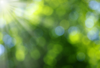 Green blurred background