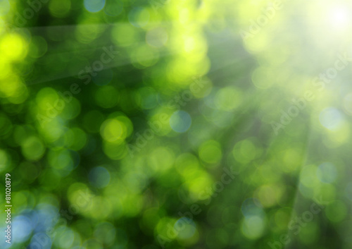 Green blurred background