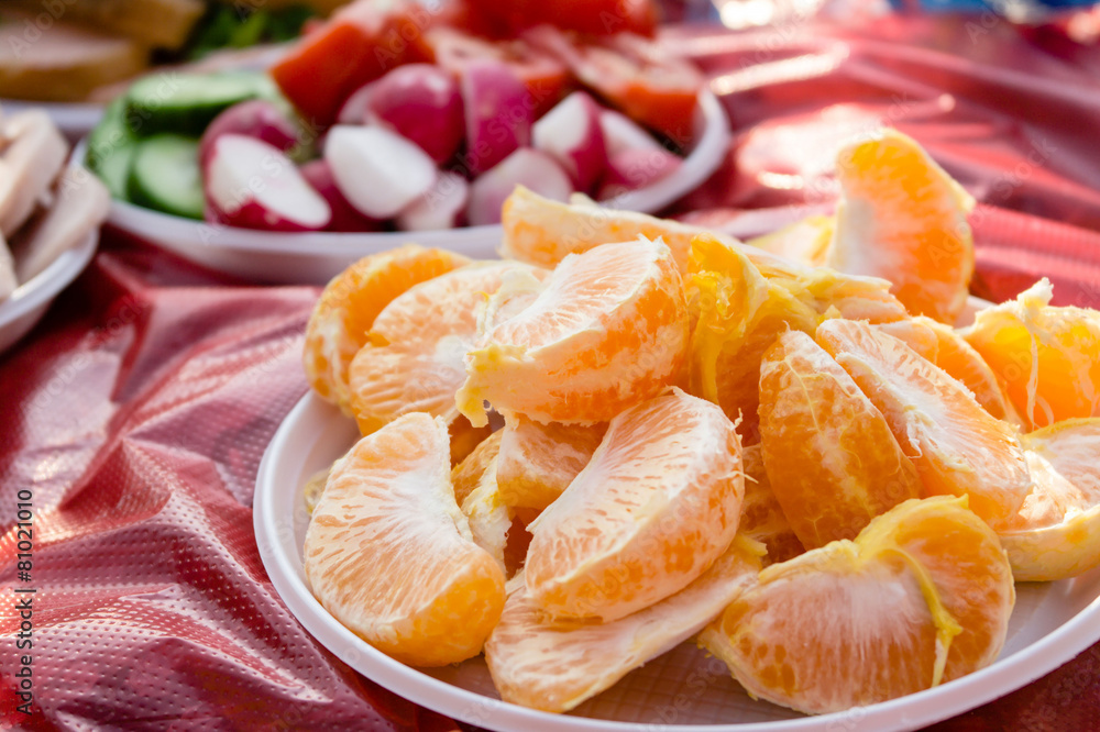 The picnic meal. Oranges, radishes and cucumbers in plates on th The picnic meal. Oranges, radishes and cucumbers in plates on th