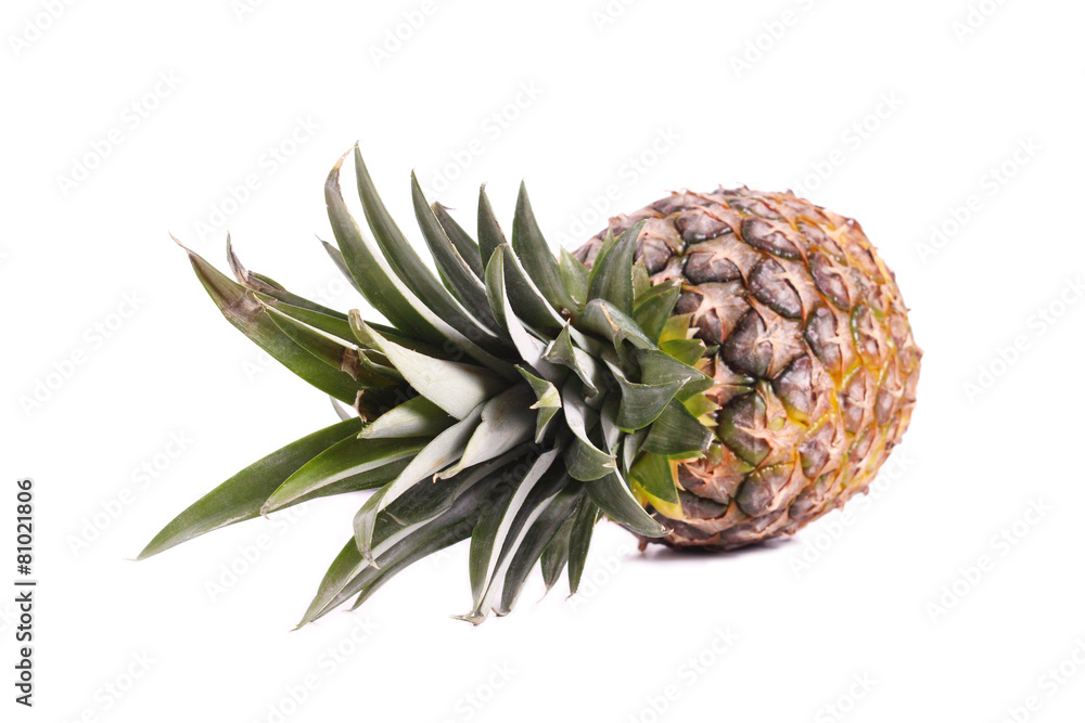 Pineapple
