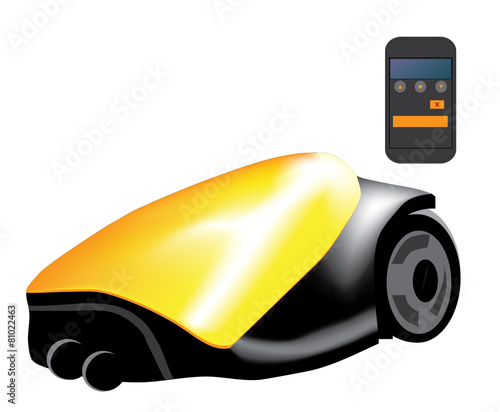 Remote control and automatic lawn mower