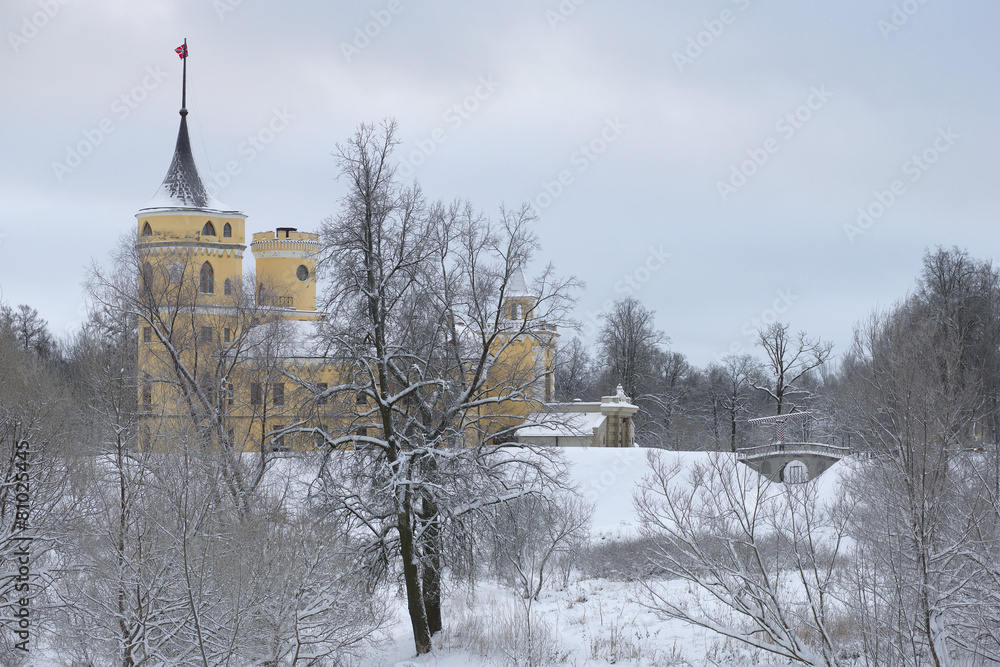 Зимний пасмурный день у замка Бип. Павловск