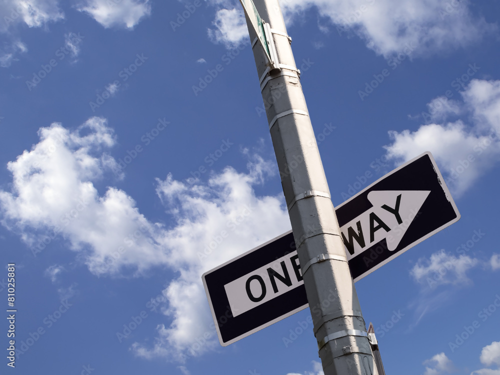 Fototapeta premium one way road sign on the utility pole