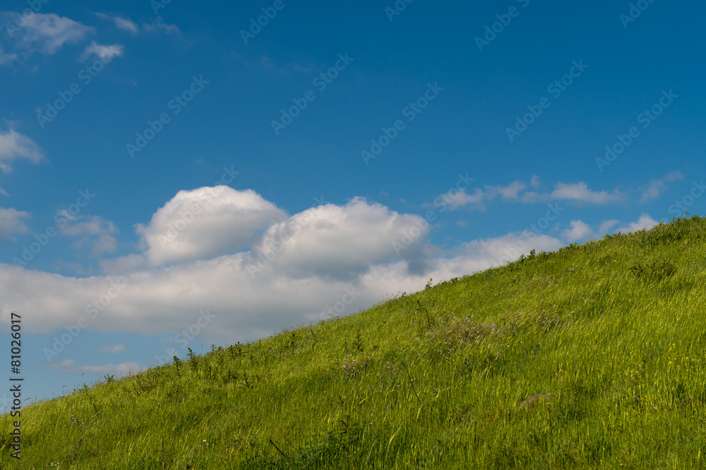 Fototapeta premium Naturschutzgebiet