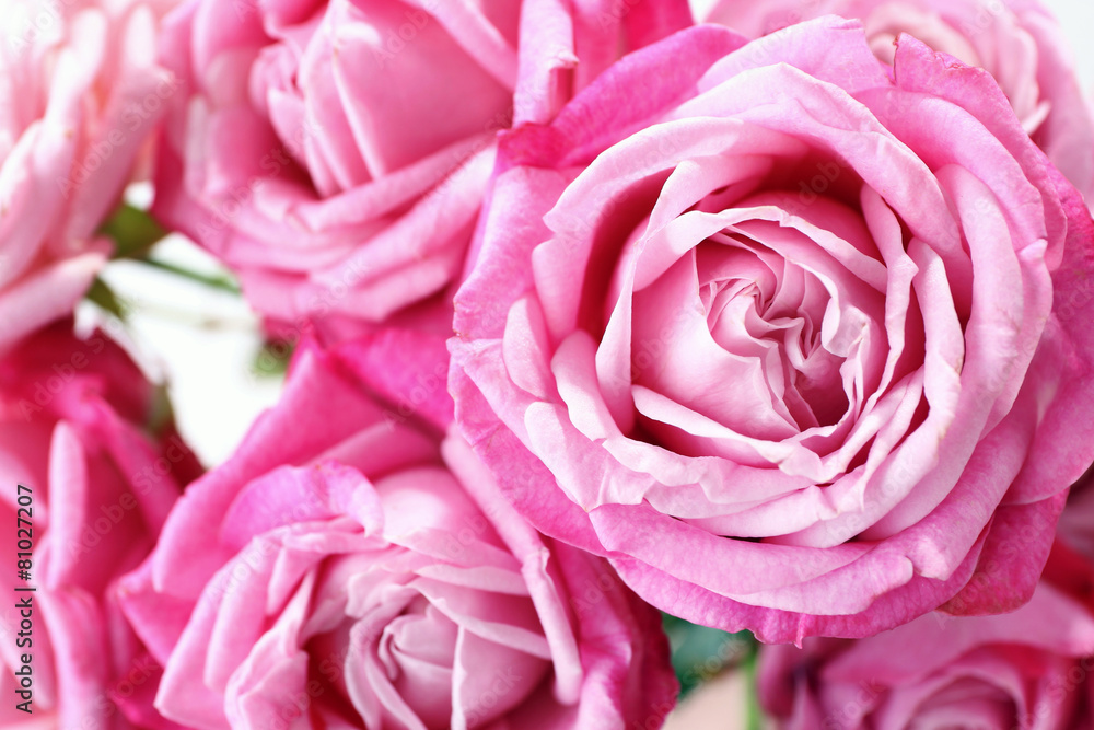 Bouquet of beautiful fresh roses, closeup