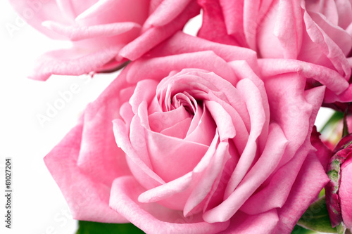 Bouquet of beautiful fresh roses, closeup