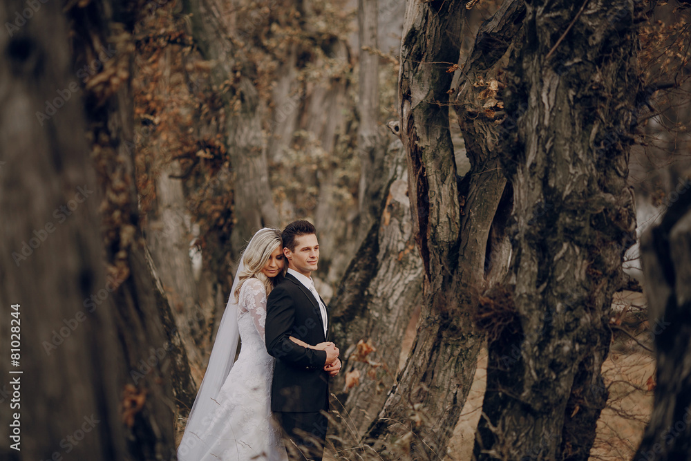 bride walking in golden autumn nature bride walking in golden autumn nature