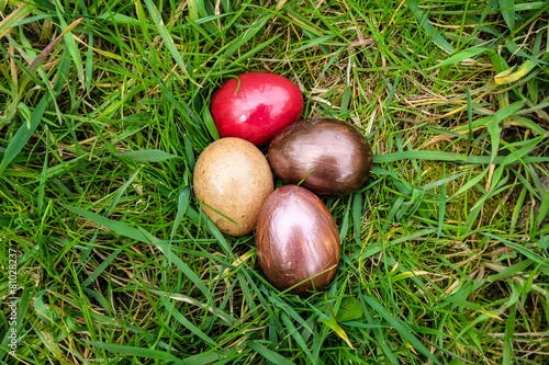 Easter eggs on  the grass