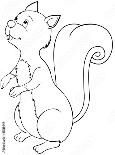 Eichhörnchen Ausmalbild