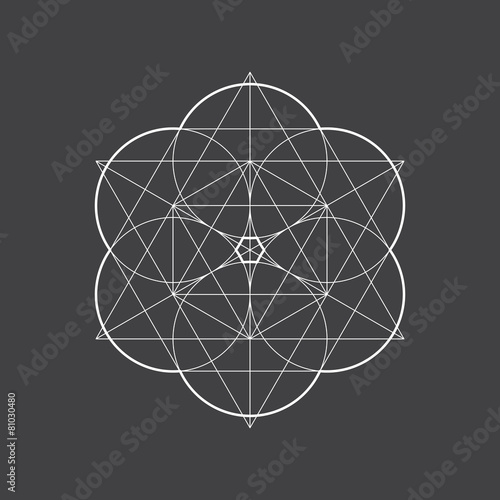 Geometric element, star pattern, vector, line design