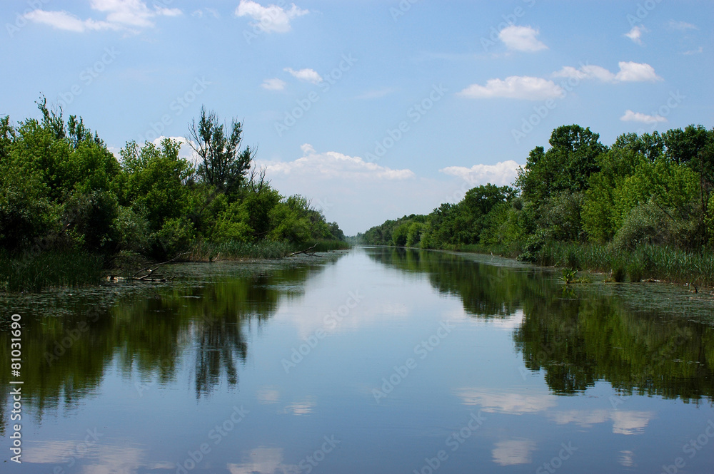 Spring landscape on a misty river