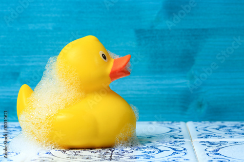 Fotografie Ente1