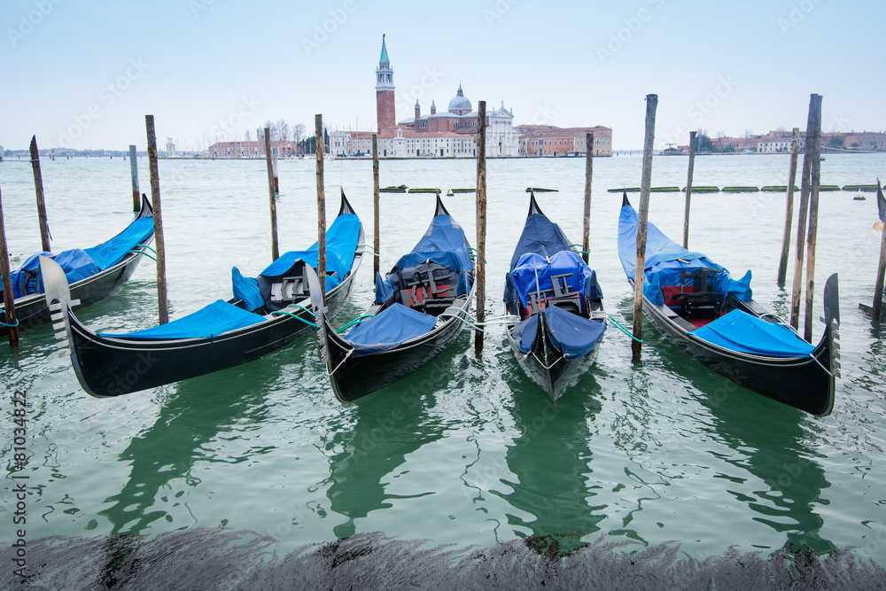 lagoon of Venice (Italy)