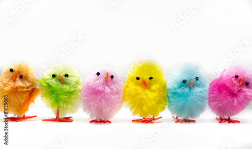 Colorful easter chicks