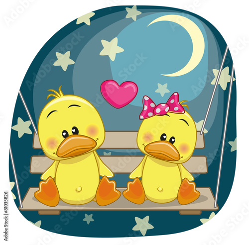 Lovers Ducks