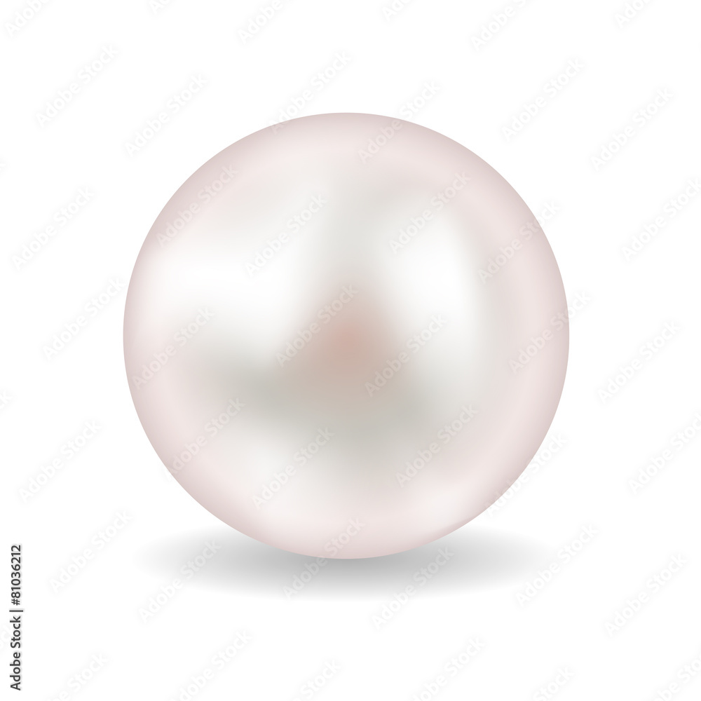 Pearl vector illustration Pearl vector illustration