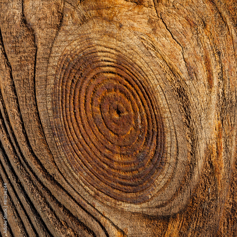 Fototapeta premium wooden texture