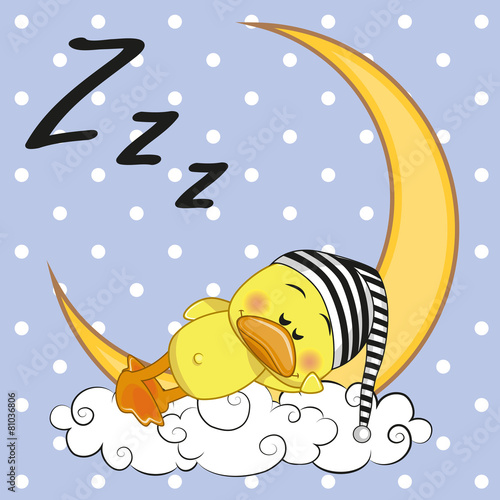 Sleeping Duck