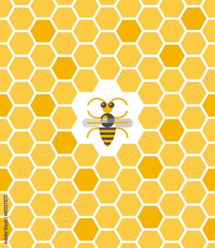 Sweet geometric pattern with honeycomb and bee