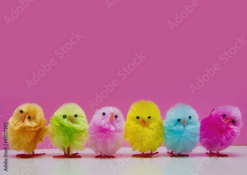 Fotografie, Obraz Cute easter chicks