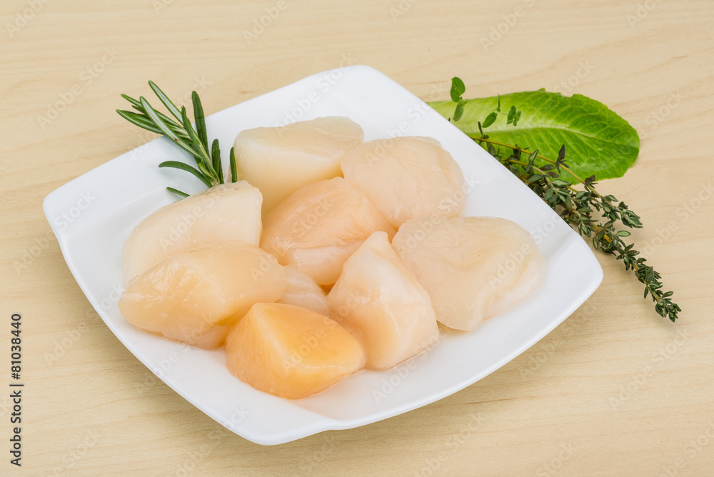 Raw scallops Raw scallops