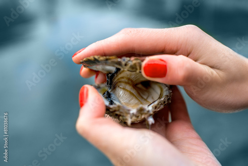 Oyster in hands