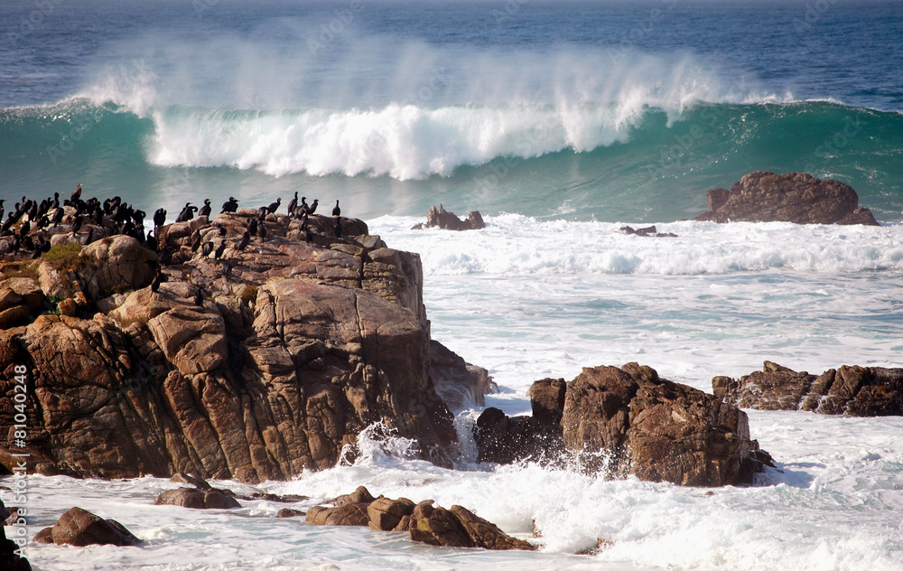 Obraz premium Waves crush rocks,18 Miles Out, California