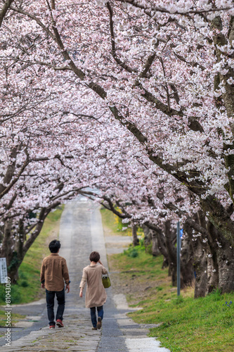 桜のアーチ